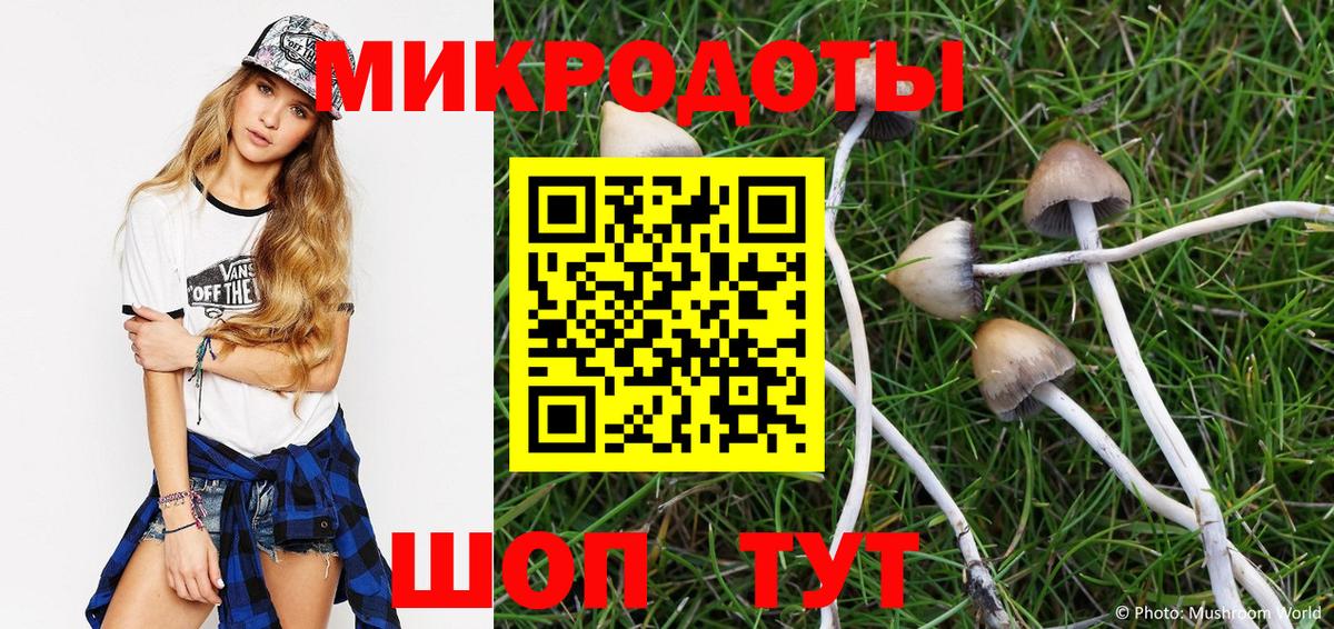 Галлюциногенные грибы MAGIC MUSHROOMS Вязники