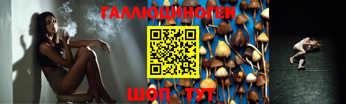 Вязники  Псилоцибиновые грибы ЛСД  Вход с VPN 